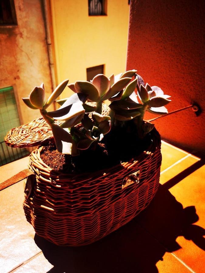 Cornu Karma Apartment Siuranella Корднуделла Екстер'єр фото